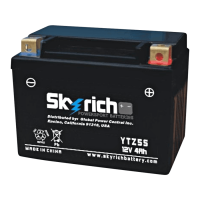 SKYRICH   Аккумулятор  YTZ5S