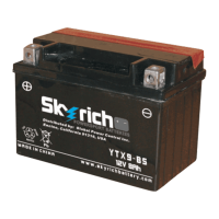 SKYRICH   Аккумулятор  YTX9-BS