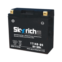 SKYRICH   Аккумулятор  YT14B-BS