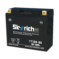 SKYRICH   Аккумулятор  YT12B-BS