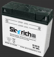SKYRICH   Аккумулятор  Y51913
