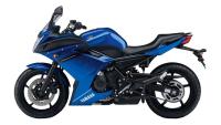 Слайдеры для мотоцикла YAMAHA XJ6F Diversion FZ6R от `09- CRAZY IRON