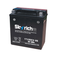 SKYRICH   Аккумулятор  YTX20CH-BS