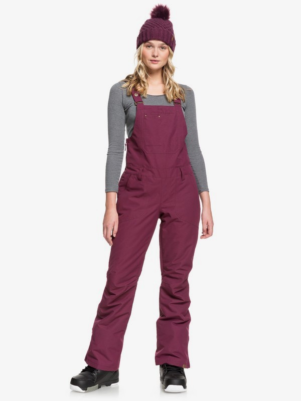 Штаны Roxy Creek j SNPT 2021