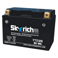 SKYRICH   Аккумулятор  YTZ12S
