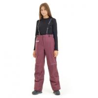 Dragonfly Штаны утепленные Gravity TEENAGER. Purple - Black 2023