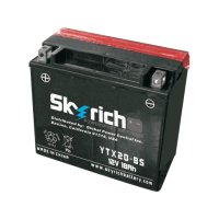 SKYRICH   Аккумулятор  YTX20-BS
