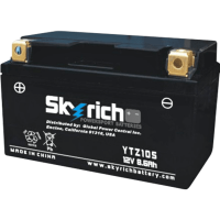 SKYRICH   Аккумулятор  YTZ10S