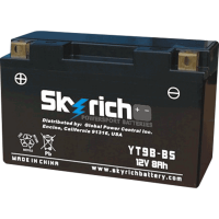 SKYRICH   Аккумулятор  YT9B-BS