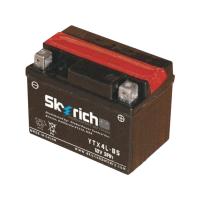 SKYRICH   Аккумулятор  YTX4L-BS