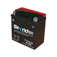 SKYRICH   Аккумулятор  YTX16-BS