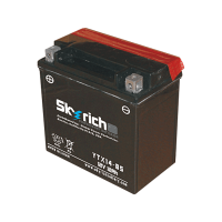 SKYRICH   Аккумулятор  YTX14-BS