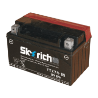 SKYRICH   Аккумулятор  YTX7A-BS