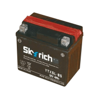 SKYRICH   Аккумулятор  YTX5L-BS