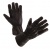 MODEKA Перчатки ARAS black фото в интернет-магазине FrontFlip.Ru