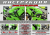 ARMOR BIKE ( 4021 ) Kawasaki ZX6R 2003-2004 фото в интернет-магазине FrontFlip.Ru