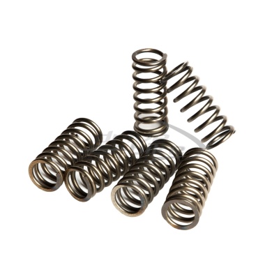 [EBC] Пружины сцепления CSK202 (комплект) фото в интернет-магазине FrontFlip.Ru