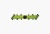 Педали Race Face Aeffect R Green фото в интернет-магазине FrontFlip.Ru Педали Race Face Aeffect R Green фото в интернет-магазине FrontFlip.Ru